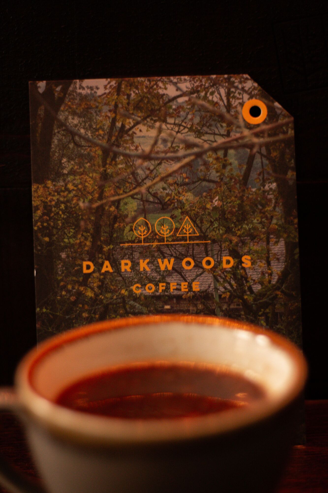 Darkwoods Takeover, photo 6