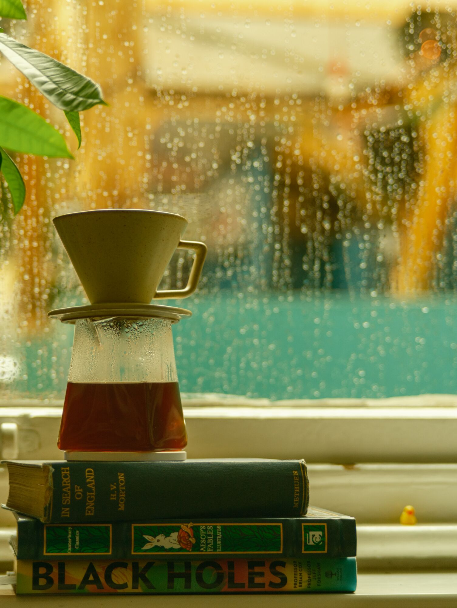 Pour over by the window